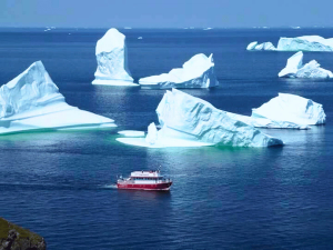 Boot fährt entlang von Eisbergen bei Twillingate in Kanada