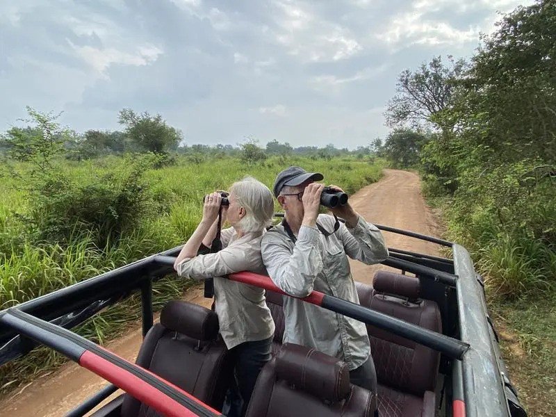 Auf Safari in Sri Lanka