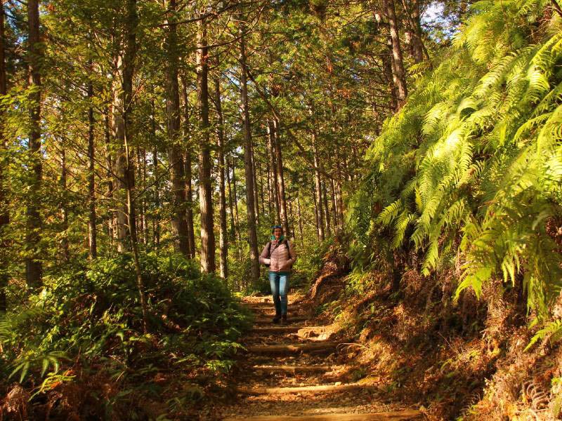 Wanderer auf dem Kumano Kodo
