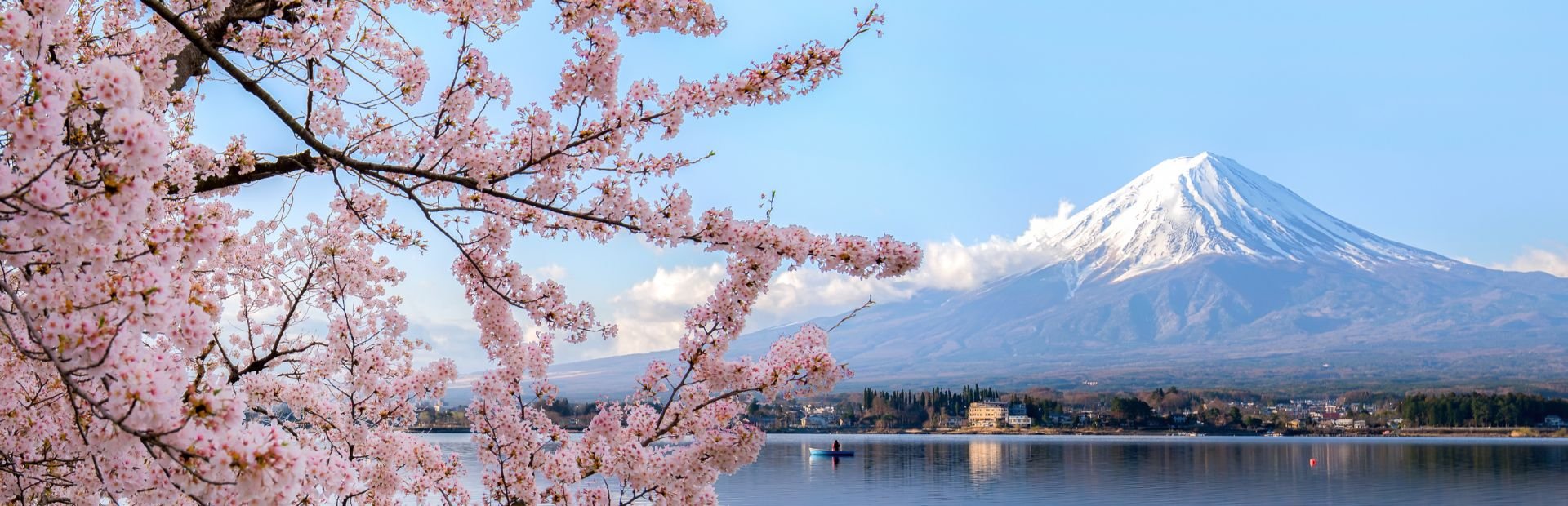 Mount Fuji mit Kirschblueten in Japan