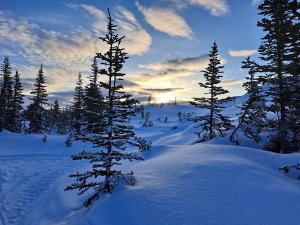 Winterliche Schneelandschaft im Yukon, Kanada