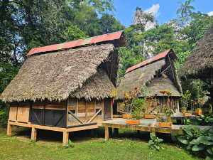 Dschungellodge im Cuyabeno Reservat