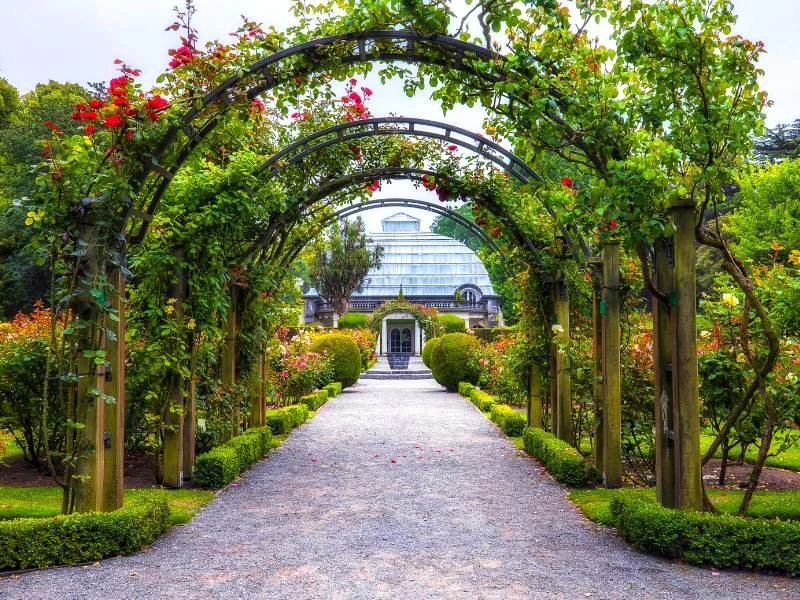 Neuseeland - Rosenbogen in Christchurch