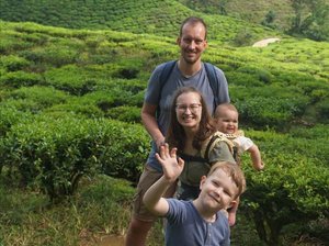 Familie in den Teeplantagen in den Cameron Highlands in Malaysia