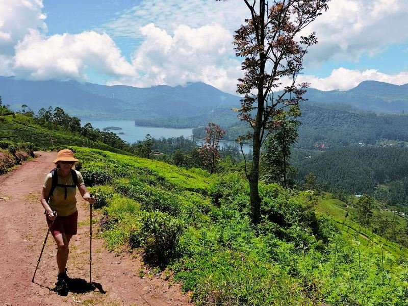 Wanderin auf dem Pekoe Trail zwischen Teefeldern in Sri Lanka