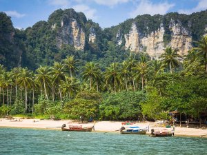 Longtailboote am palmenbewachsenen Strand von Krabi in Thailand