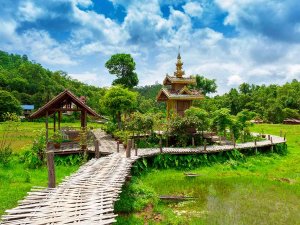 Holzsteg inmitten von grünen Reisfelder in Thailand