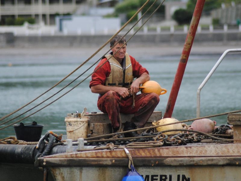 Fischer am Hafen von Akaroa in Neuseeland