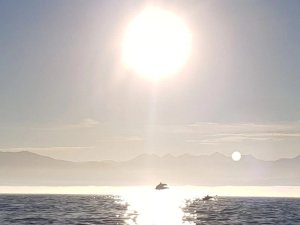 blog-neuseeland-kaikoura-sonnenuntergang-delphine