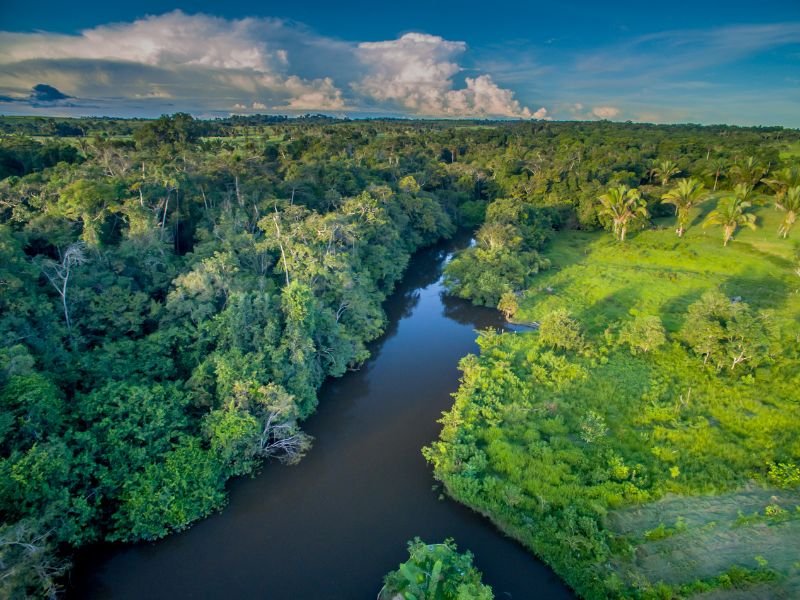 Amazonasgebiet in Brasilien