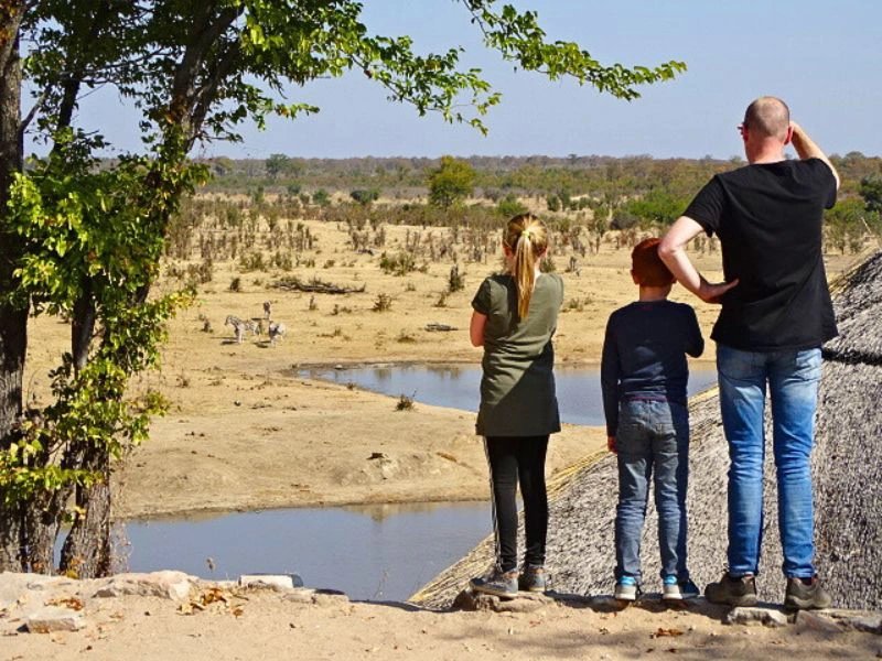 Familie am Wasserloch im Etosha Nationalpark Namibia