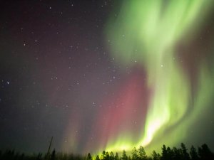 Nordlichter bei Whitehorse im Yukon, Kanada