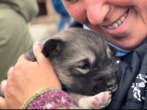 Lächelnde Frau kuschelt mit einem kleinen Schlittenhund-Welpen in Grönland
