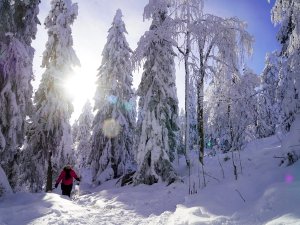 Winterlandschaft in Lappland