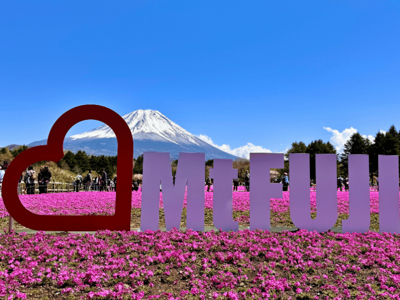 Blumen und Schild vor dem Mt Fuji in Japan