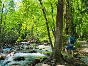 Wandern in den Smoky Mountains in Tennesse, USA