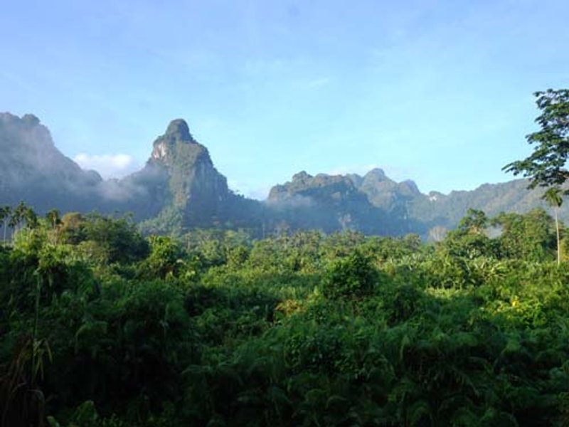 Dschungellandschaft im Khao Sok Nationalpark in Thailand