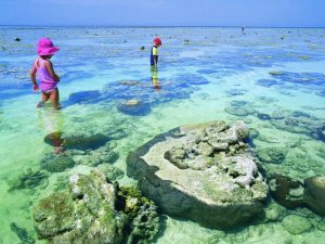 Australië Great Barrier Reef kinderen