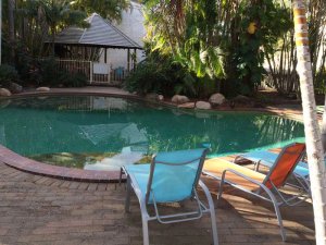 Pool mit Liegen umgeben von Palmen in Hervey Bay, Australien