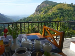 Aussicht vom Hotel in Ella in Sri Lanka