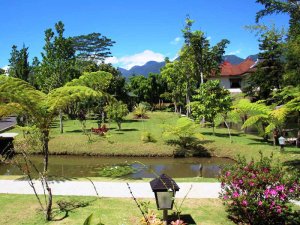Gartenanlage eines Hotels in Ruteng