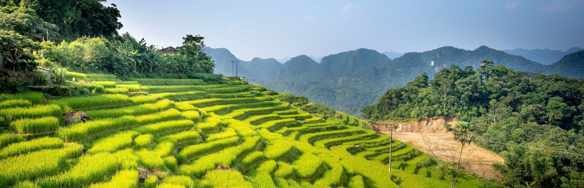 Reisterrassen bei Pu Luong