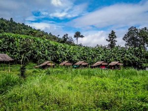 Grüne Berglandschaft bei Chiang Mai
