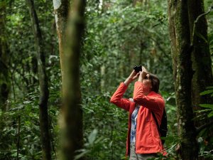 Reisender mit Fernglas Kibale Uganda