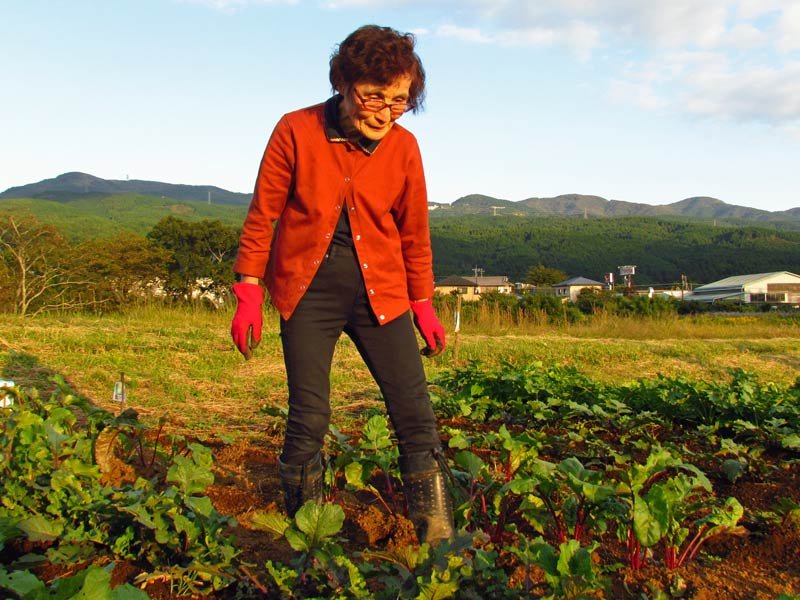 Eine Frau auf einem Obstfeld bei Sonnenuntergang in Gotemba am Mount Fuji