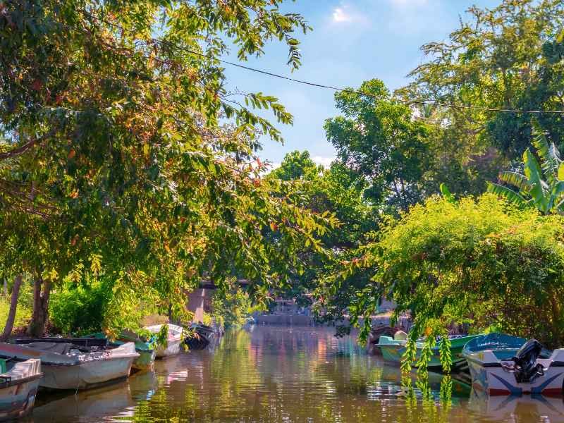 Kanal in der Lagune in Negombo, Sri Lanka