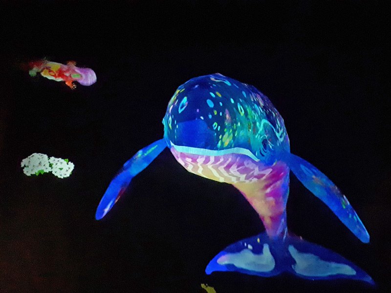 Digitale Fische in den Teamlab Planets in Tokio