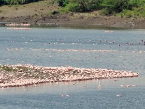 Arusha Nationalpark in Tansania