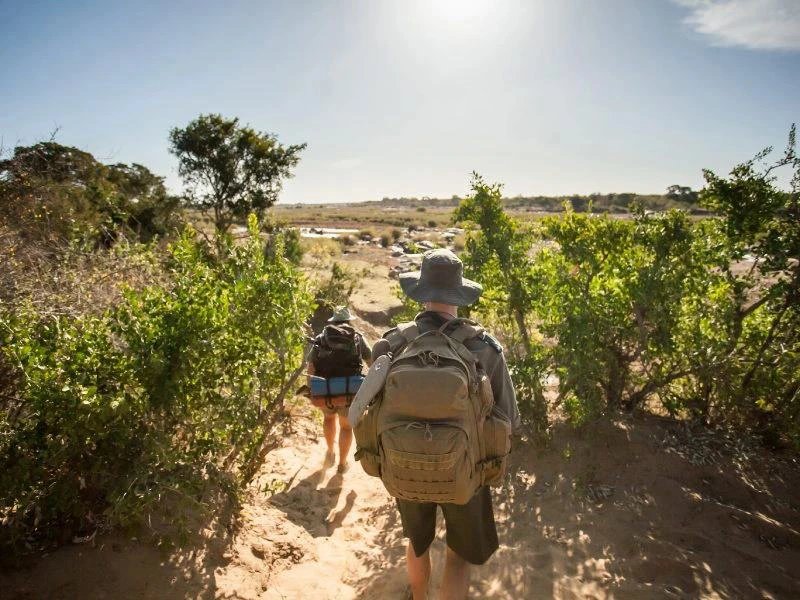 Walking Safari in Südafrika