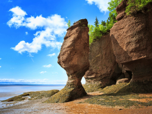 Felsen im Fundy Nationalpark in Kanada