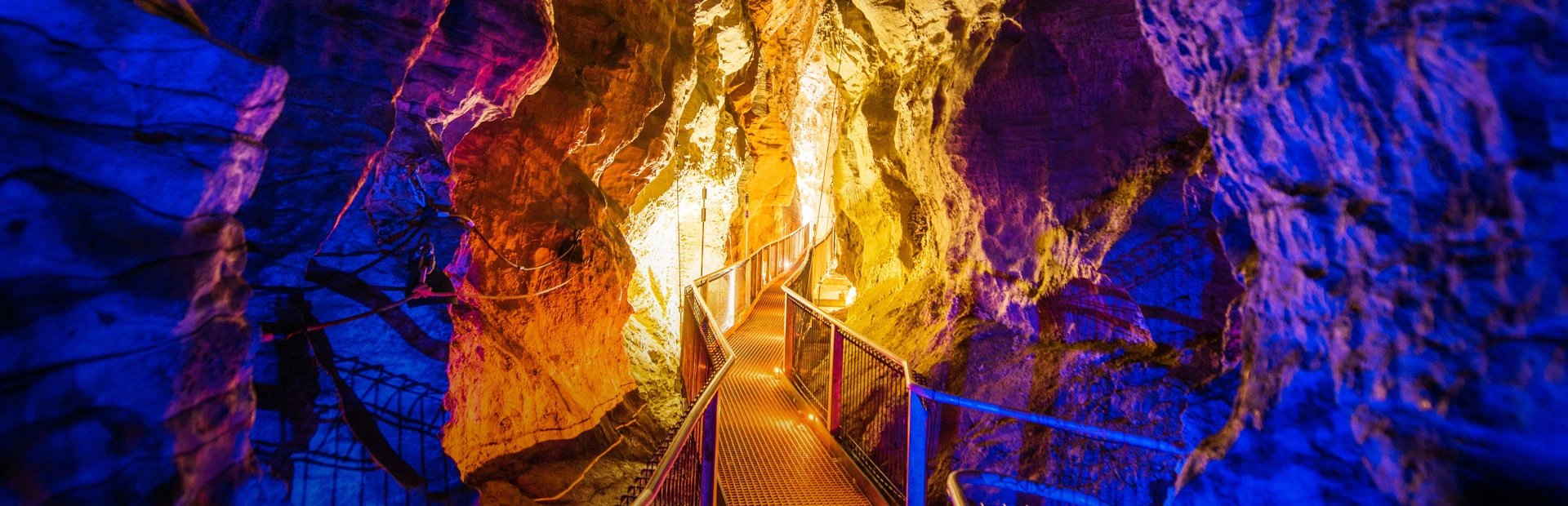 Waitomo Glühwürmchenhöhlen