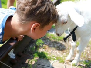 Sardinien mit Kindern: Agriturismo