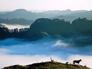 Neblige Landschaft der Blue Duck Station in Neuseeland