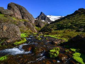 Leuchtend grünes Moos entlang eines felsigen Gebirgsbachs mit schneebedecktem Gipfel unter klarem blauem Himmel in Island