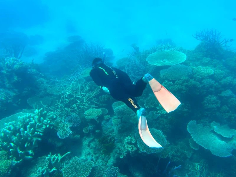 Taucher beim Schnorcheln am Great Barrier Reef, Australien