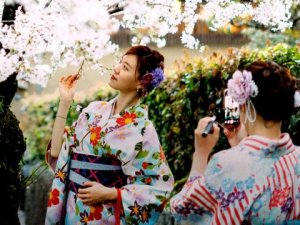 Japanische Frauen während der Kirschblüte