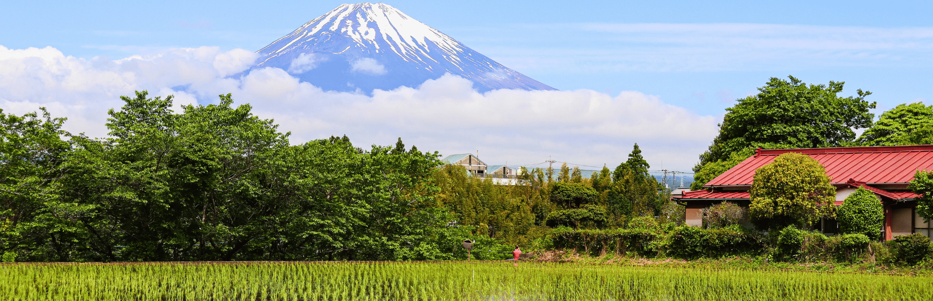 Homestay am Mount Fuji an Reisfeldern nahe des Mount Fuji in Gotemba in Japan
