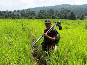 Wanderung mit Guide durch den Khao Yai Nationalpark