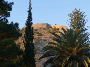 Palmen und Bäume vor einem Gebäude auf einem Berg