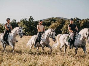 Drei Frauen reiten auf weißen Pferden durch ein grünes Feld in Slowenien