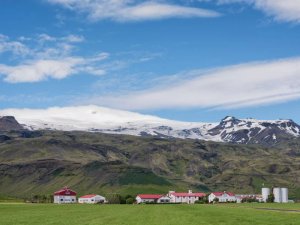 Bauernhöfe mit roten Dächern am Fuß schneebedeckter Berge in der grünen Landschaft Islands