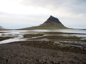 Markanter kegelförmiger Berg erhebt sich aus dem Wasser mit felsiger Küste voller Seetang unter bewölktem Himmel in Island