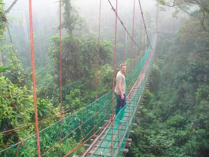 Hängebrücke im Danum Valley, Borneo