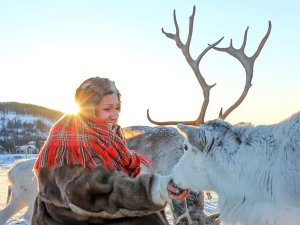 Samische Frau fĂĽttert ein Rentier in Norwegisch Lappland