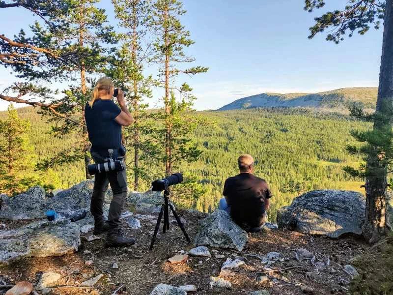 Wildtiere beobachten in Schweden