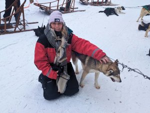 Reisende bei Huskytour nahe Rovaniemi, Lappland